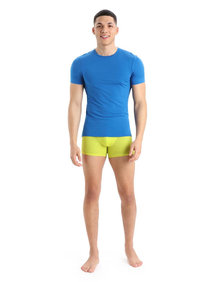 Men's Icebreaker Cool-Lite™ Merino Anatomica Boxers Underwear Shine | CA 1629NWYB